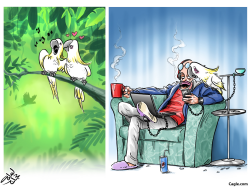 BIRDSHUMANS by Osama Hajjaj