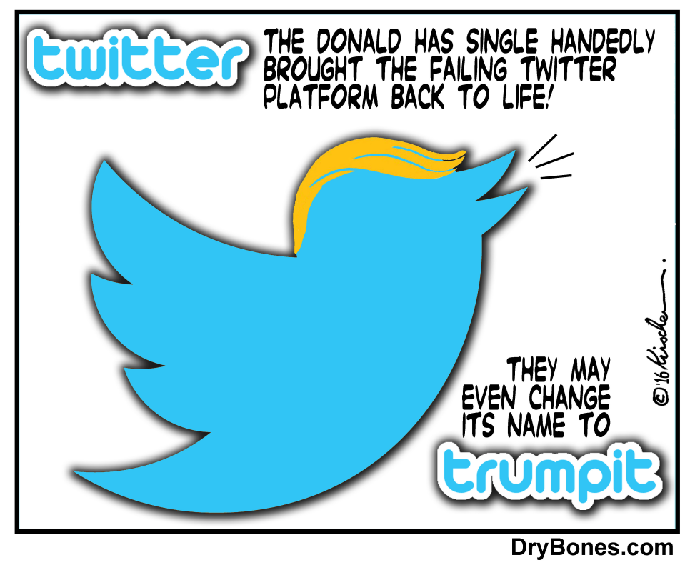  THE DONALD'S TWEETS by Yaakov Kirschen