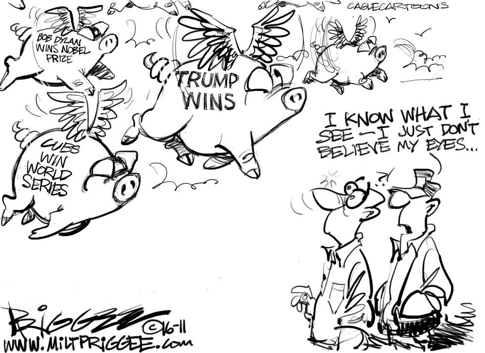  TRUMP WINS by Milt Priggee