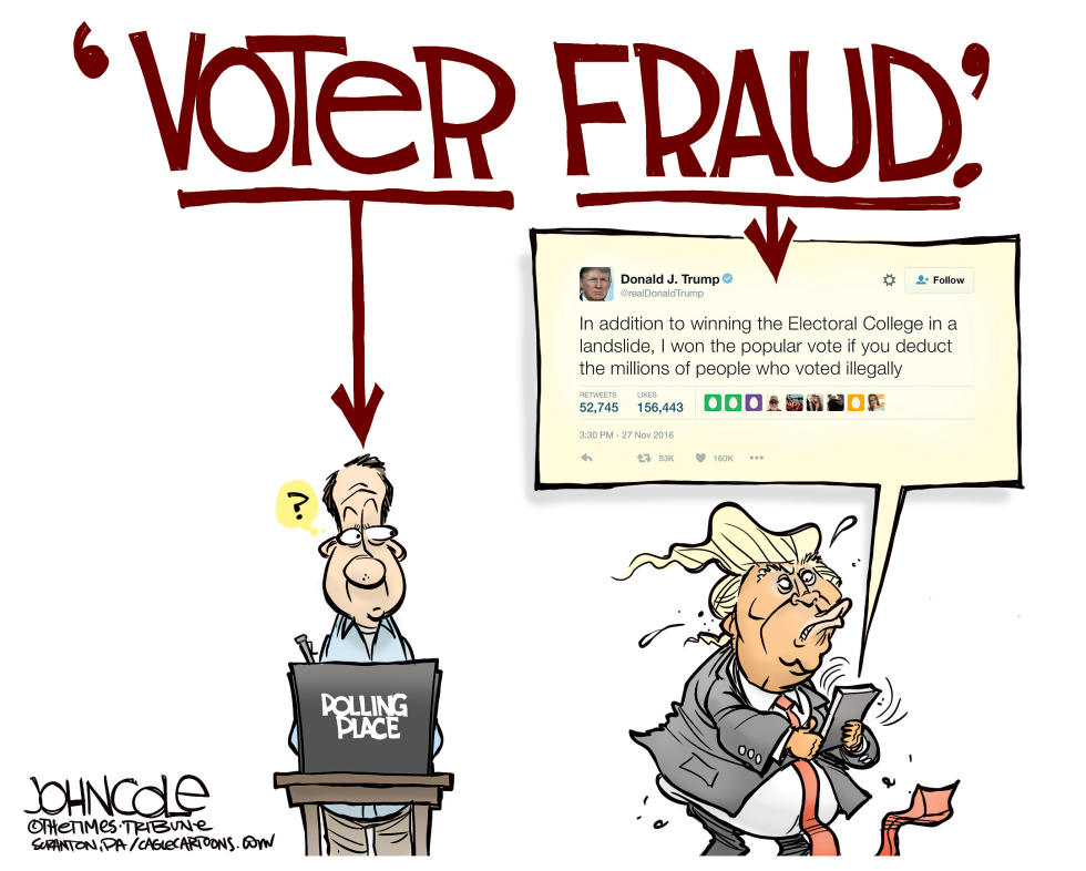  THE VOTER AND THE FRAUD by John Cole