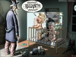 HILLARY RECOUNT CRY BABY  by Sean Delonas