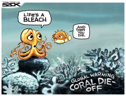 CORAL BLEACHING by Steve Sack