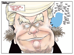 TWITTER NEST by Bill Day