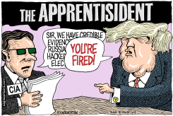 THE APPRENTISIDENT by Wolverton