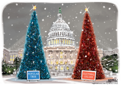 POPULAR VOTE TREE AND ELECTORAL COLLEGE TREE by RJ Matson