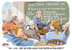 ELECTORAL COLLEGE 101 by RJ Matson