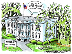 TRUMP CONFLICTS by Dave Granlund