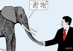 CHINA SAVES ELEPHANTS by Rainer Hachfeld