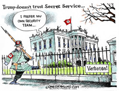 TRUMP SECURITY by Dave Granlund