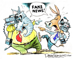 PARTISAN FAKE NEWS by Dave Granlund