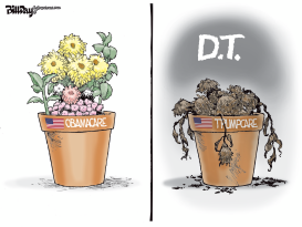 DT by Bill Day