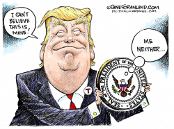 TRUMP PRESIDENT by Dave Granlund