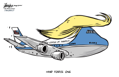 HAIR FORCE ONE by Manny Francisco