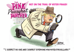 VOTER FRAUD INSPECTOR TRUMP CLOUSEAU by RJ Matson