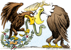 USA VS MEXICO by Daryl Cagle