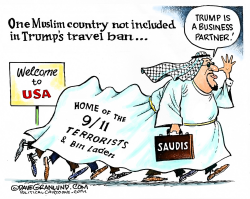 TRUMP TRAVEL BAN by Dave Granlund