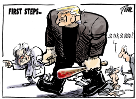 FIRST STEPS TRUMP by Tom Janssen