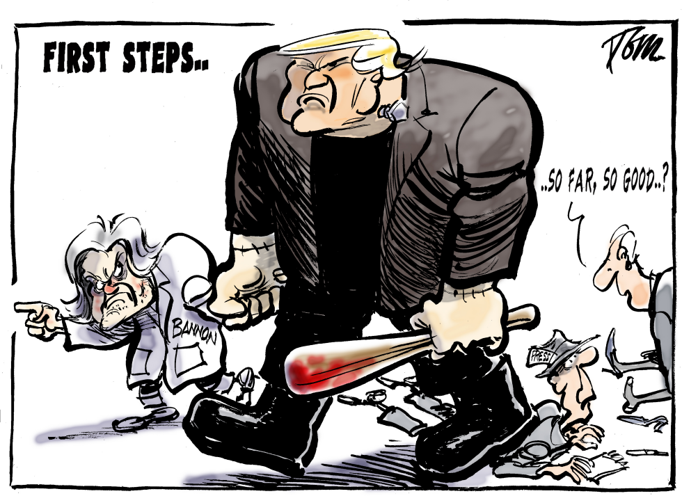  FIRST STEPS TRUMP by Tom Janssen