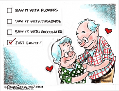 VALENTINE GIFTS by Dave Granlund