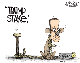 TOOMEY AND TRUMP by John Cole