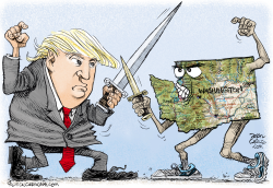 TRUMP VS WASHINGTON by Daryl Cagle