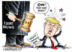 TRUMP TRAVEL BAN RULING by Dave Granlund