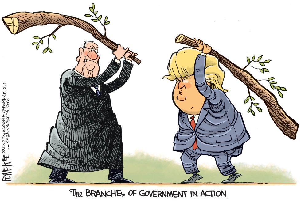  TRUMP BRANCHES OF GOVT by Rick McKee