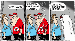 SNOWFLAKE by Bob Englehart