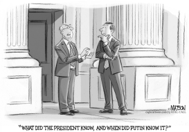 WHAT DID THE PRESIDENT KNOW by RJ Matson