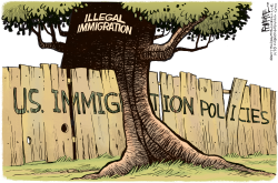 IMMIGRATION TREE by Rick McKee