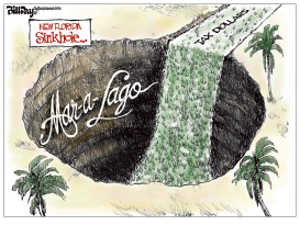 MAR-A-LAGO SINKHOLE by Bill Day