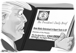 PRESIDENT TRUMP DAILY BRIEF by RJ Matson