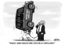 HEALTH CARE IS COMPLICATED by RJ Matson