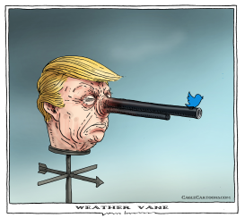 WEATHER VANE by Joep Bertrams