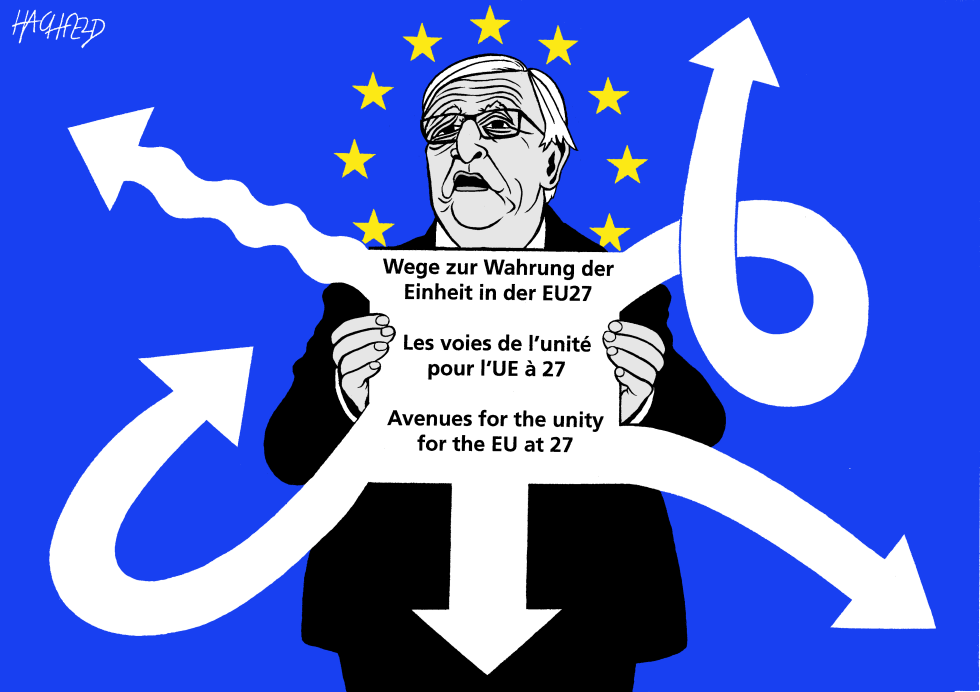  WHITE PAPER ON EU by Rainer Hachfeld