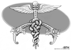 HEALTH CARE CADUCEAN KNOT by RJ Matson