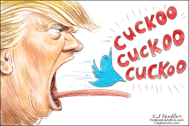 TRUMP CUKOO by Ed Wexler