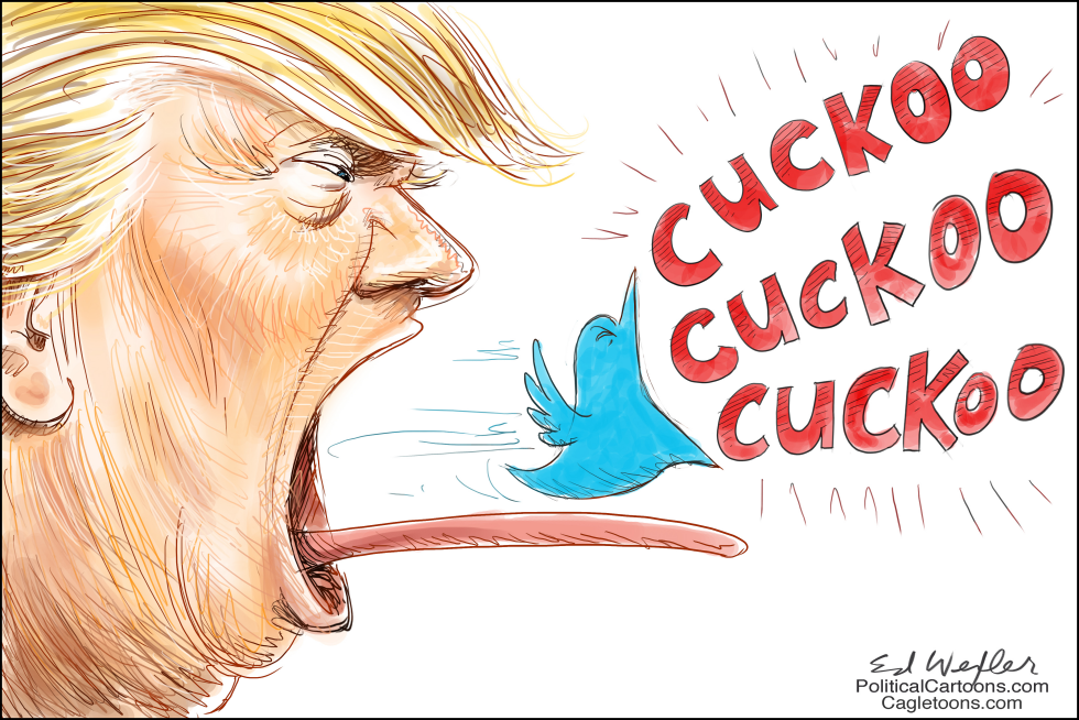  TRUMP CUKOO by Ed Wexler