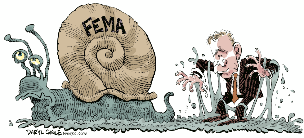  FEMA SNAIL by Daryl Cagle