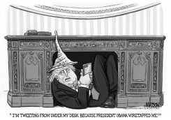 PRESIDENT TRUMP WHITE HOUSE SAFE SPACE by RJ Matson