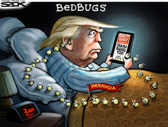 3AMTWEETER by Steve Sack