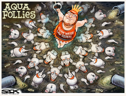 WATER FOLLIES by Steve Sack