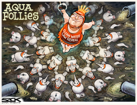 WATER FOLLIES by Steve Sack