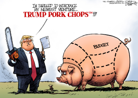 BUDGET SWINE by Nate Beeler