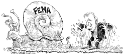 CARACOL FEMA by Daryl Cagle