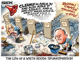 WHITE HOUSE MESS by Steve Sack