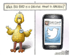 BIG BIRD by Adam Zyglis