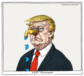 TAPS FOUND by Joep Bertrams