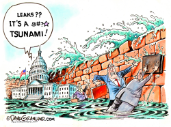 GOVERNMENT LEAKS by Dave Granlund