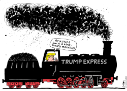 TRUMP COAL by Schot